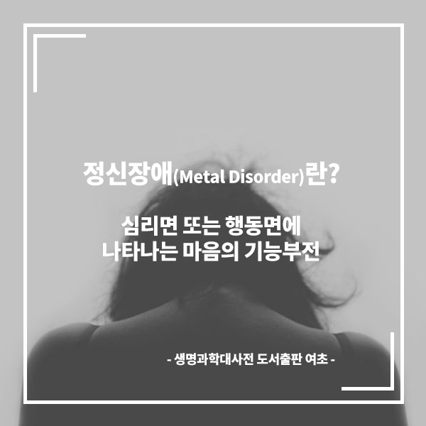 cont_box01_img01